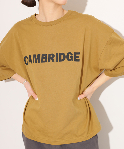 JOURNAL STANDARD relume(ジャーナルスタンダード レリューム)の「CAMBRIDGEロゴTシャツ(Tシャツ/カットソー・レディース・キャメル/ホワイト/チャコールグレー・FREE)」の3枚目の写真