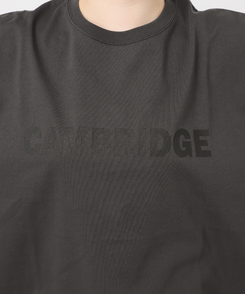 JOURNAL STANDARD relume(ジャーナルスタンダード レリューム)の「CAMBRIDGEロゴTシャツ(Tシャツ/カットソー・レディース・キャメル/ホワイト/チャコールグレー・FREE)」の5枚目の写真