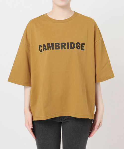 JOURNAL STANDARD relume(ジャーナルスタンダード レリューム)の「CAMBRIDGEロゴTシャツ(Tシャツ/カットソー・レディース・キャメル/ホワイト/チャコールグレー・FREE)」の7枚目の写真