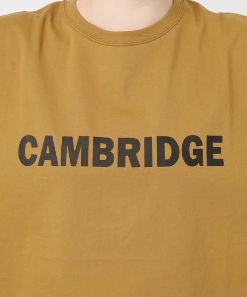 JOURNAL STANDARD relume(ジャーナルスタンダード レリューム)の「CAMBRIDGEロゴTシャツ(Tシャツ/カットソー・レディース・キャメル/ホワイト/チャコールグレー・FREE)」の8枚目の写真