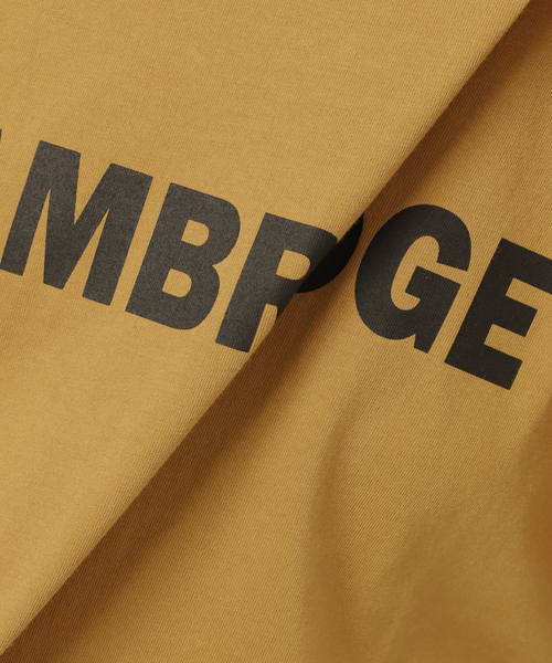 JOURNAL STANDARD relume(ジャーナルスタンダード レリューム)の「CAMBRIDGEロゴTシャツ(Tシャツ/カットソー・レディース・キャメル/ホワイト/チャコールグレー・FREE)」の9枚目の写真