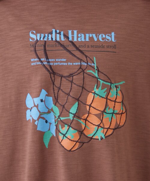 CIAOPANIC TYPY(チャオパニックティピー)の「【AMALFI】ワンポイント刺繍アソートプリントTee(Tシャツ/カットソー・レディース・ピンク/ホワイト/ブラウン/サックスブルー・ONE SIZE)」の21枚目の写真