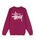 STUSSY�i�X�e���[�V�[�j�́uBasic Stussy�i�X�E�F�b�g�j�v�b���C�� 