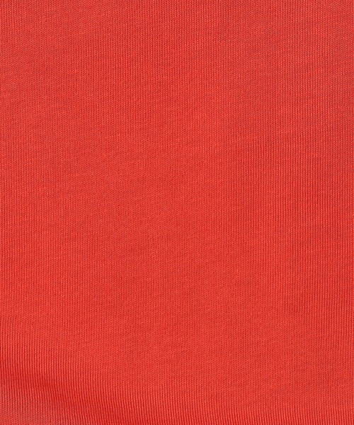 Grand PARK(グランドパーク)の「ワイドシルエットBIGロゴTシャツ(Tシャツ/カットソー・レディース・レッド/ホワイト/ブラック/ベージュ・FREE)」の15枚目の写真