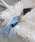 tiny tiny�i�e�B�j�[�e�B�j�[�j�́u�~���[�W�b�N�`���[��[tiny tiny(�e�B�j�[�e�B�j�[)]�i�`���[���j�v�b���C�g�u���[