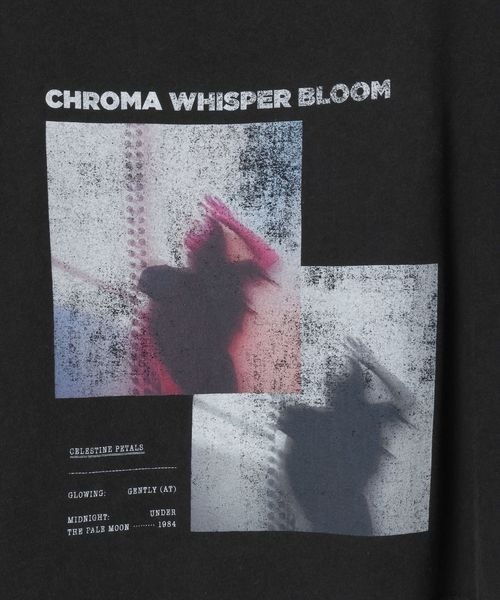 JEANASIS（ジーナシス）の「【選べる着丈】brightフォトコラージュボートネックプリントTEE/668750（Tシャツ/カットソー・レディース・ブラック/ホワイト/チャコールグレー・SMALL/LARGE）」の14枚目の写真