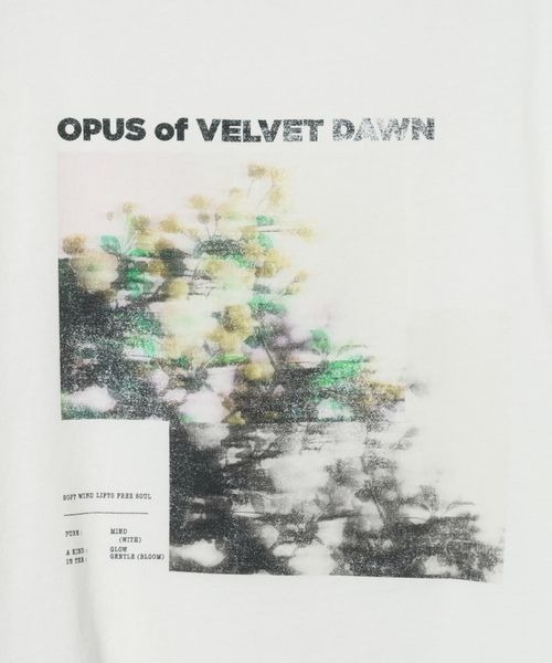 JEANASIS（ジーナシス）の「【選べる着丈】brightフォトコラージュボートネックプリントTEE/668750（Tシャツ/カットソー・レディース・ブラック/ホワイト/チャコールグレー・SMALL/LARGE）」の19枚目の写真