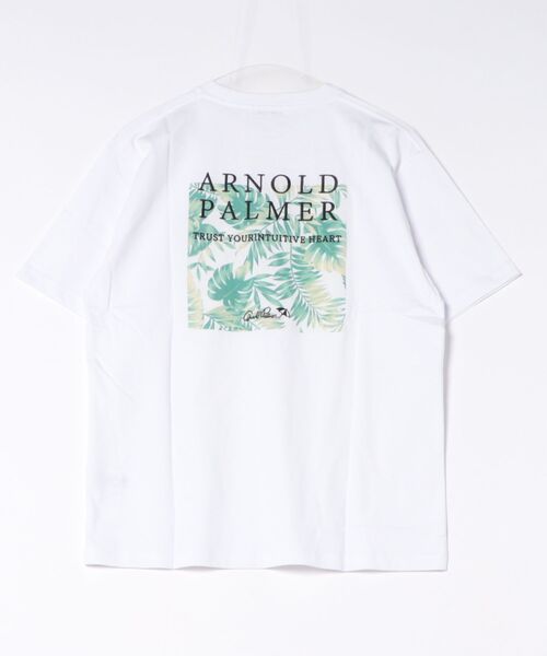Arnold Palmer(アーノルドパーマー)の「シェア リゾート柄 ボックスロゴ Tシャツ(Tシャツ/カットソー・レディース・ホワイト系その他/ホワイト系その他2/ホワイト系その他4/ホワイト系その他3・LL/M/S/XS/L)」の20枚目の写真