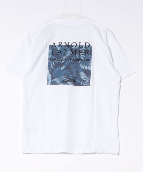 Arnold Palmer(アーノルドパーマー)の「シェア リゾート柄 ボックスロゴ Tシャツ(Tシャツ/カットソー・レディース・ホワイト系その他/ホワイト系その他2/ホワイト系その他4/ホワイト系その他3・LL/M/S/XS/L)」の22枚目の写真