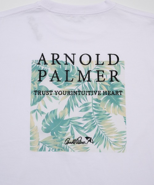 Arnold Palmer(アーノルドパーマー)の「シェア リゾート柄 ボックスロゴ Tシャツ(Tシャツ/カットソー・レディース・ホワイト系その他/ホワイト系その他2/ホワイト系その他4/ホワイト系その他3・LL/M/S/XS/L)」の18枚目の写真
