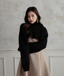 ANDGEEBEE | ショートニット(ニット/セーター)