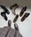 ORiental TRaffic by yuriiIG^gtBbNoCj́uVFo ZOZOTOWN XNGAgDؑփq[u[c 21392iu[cjvb_[NuE