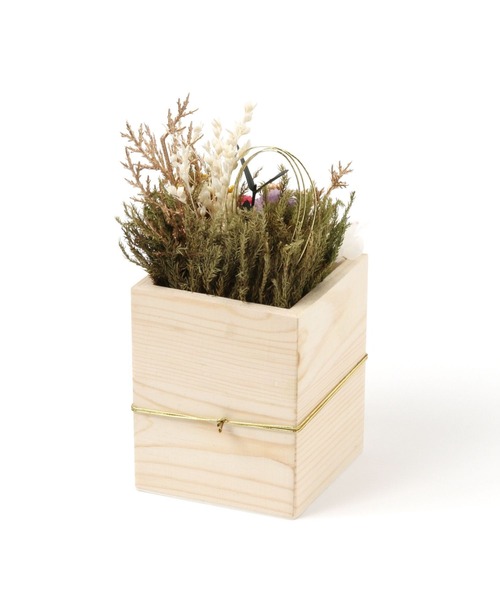 studio CLIP(スタディオクリップ)の「ソラフラワー枡飾り【ハレの日】(その他雑貨・レディース・ピンク/ホワイト・FREE)」の8枚目の写真