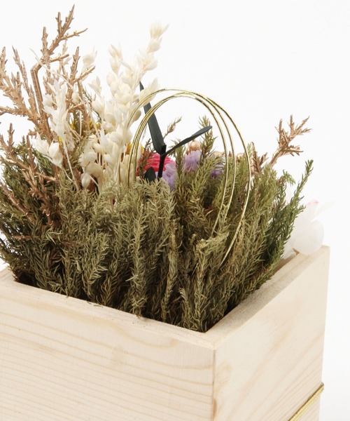 studio CLIP(スタディオクリップ)の「ソラフラワー枡飾り【ハレの日】(その他雑貨・レディース・ピンク/ホワイト・FREE)」の12枚目の写真