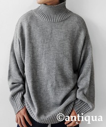 antiqua | ハイネックリブニット(ニット/セーター)
