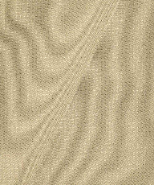 ADAM ET ROPE'（アダムエロペ）の「コットンダブルクロスパンツ（チノパンツ・レディース・ベージュ系その他・38/36/34）」の21枚目の写真