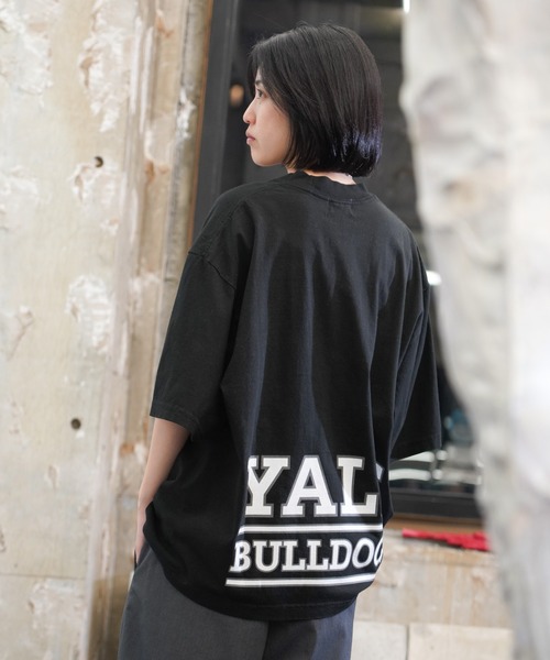 セール】The BOOK STORE / ブックストア YALE BULLDOGS