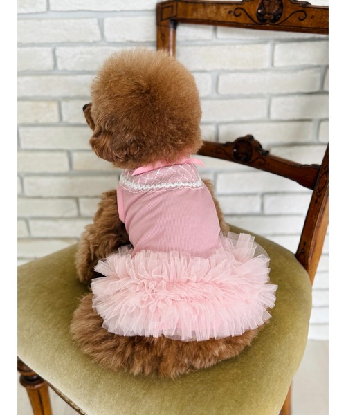 minimo/ギャザーレースワンピース L/XLサイズ /犬服(ドッグウェア)(SU
