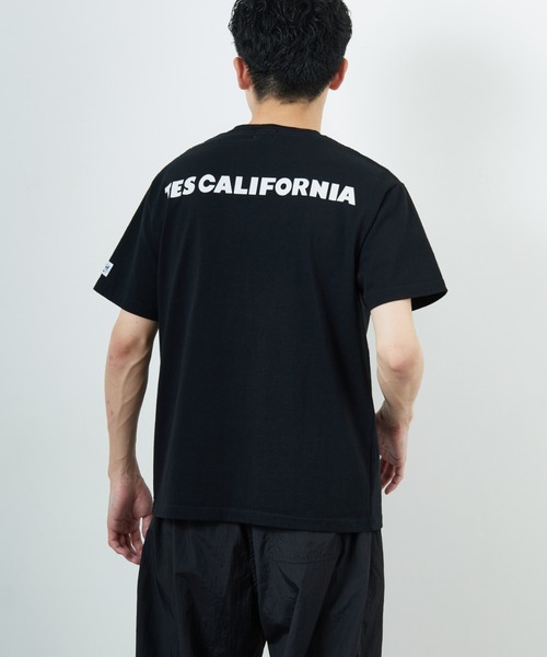 tシャツ 「THE ENDLESS SUMMER/エンドレスサマー」 別注 TES CALIFORNIA バックプリントTシャツ レディース メンズ THE ENDLESS SUMMER/エンドレスサマー] 別注 TES CALIFORNIA