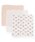 petit mainiveB}Cj́uK[[3Pȋxr[pijvbsN