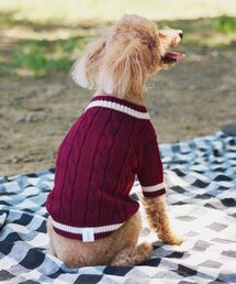CIAOPANIC TYPY(`IpjbNeBs[)́yhbOEFAzTYPYIDOG`fjbg(ybgEFA)