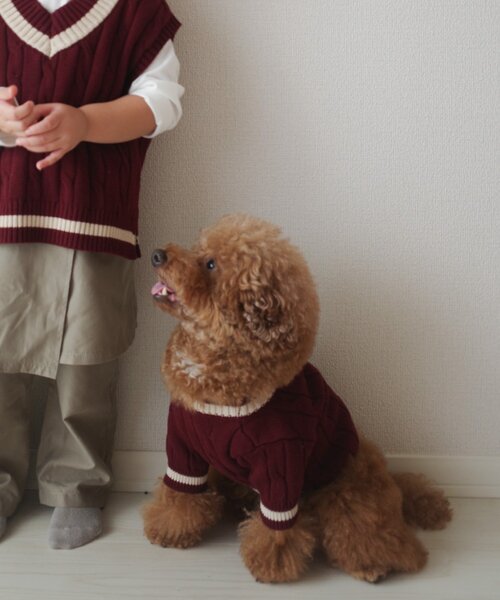 CIAOPANIC TYPY（チャオパニックティピー）の「【ドッグウェア】お揃いが叶う！コットン１００％DOGチルデンニット巾着付き（ペットウェア・レディース・ネイビー/グレー/バーガンディー・MEDIUM/SMALL）」の2枚目の写真