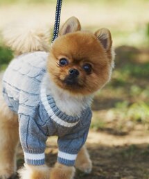 CIAOPANIC TYPY | 【ドッグウェア】お揃いが叶う！コットン１００％DOGチルデンニット巾着付き(ペットウェア)