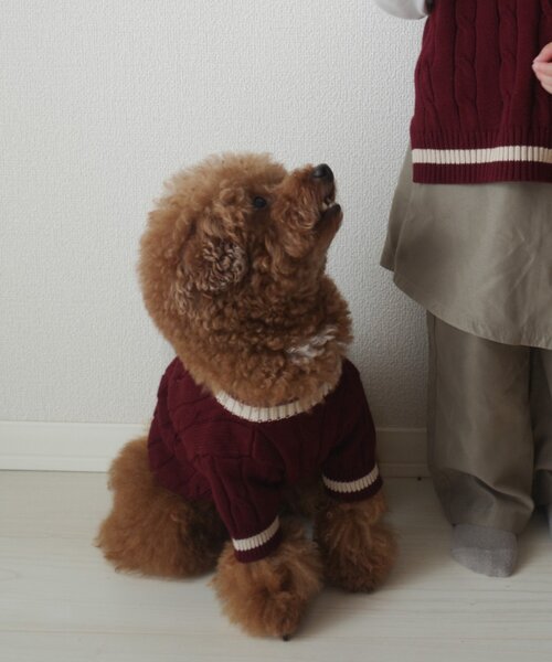 CIAOPANIC TYPY（チャオパニックティピー）の「【ドッグウェア】お揃いが叶う！コットン１００％DOGチルデンニット巾着付き（ペットウェア・レディース・ネイビー/グレー/バーガンディー・MEDIUM/SMALL）」の4枚目の写真