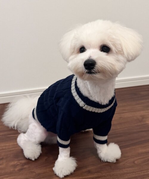 CIAOPANIC TYPY（チャオパニックティピー）の「【ドッグウェア】お揃いが叶う！コットン１００％DOGチルデンニット巾着付き（ペットウェア・レディース・ネイビー/グレー/バーガンディー・MEDIUM/SMALL）」の5枚目の写真