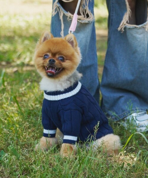 CIAOPANIC TYPY（チャオパニックティピー）の「【ドッグウェア】お揃いが叶う！コットン１００％DOGチルデンニット巾着付き（ペットウェア・レディース・ネイビー/グレー/バーガンディー・MEDIUM/SMALL）」の6枚目の写真