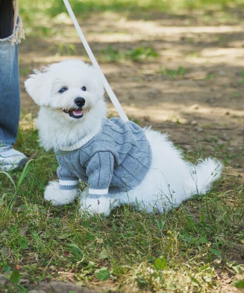 CIAOPANIC TYPY（チャオパニックティピー）の「【ドッグウェア】お揃いが叶う！コットン１００％DOGチルデンニット巾着付き（ペットウェア・レディース・ネイビー/グレー/バーガンディー・MEDIUM/SMALL）」の7枚目の写真