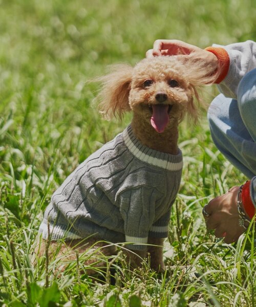 CIAOPANIC TYPY（チャオパニックティピー）の「【ドッグウェア】お揃いが叶う！コットン１００％DOGチルデンニット巾着付き（ペットウェア・レディース・ネイビー/グレー/バーガンディー・MEDIUM/SMALL）」の12枚目の写真