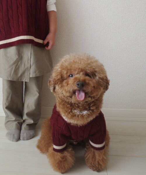 CIAOPANIC TYPY（チャオパニックティピー）の「【ドッグウェア】お揃いが叶う！コットン１００％DOGチルデンニット巾着付き（ペットウェア・レディース・ネイビー/グレー/バーガンディー・MEDIUM/SMALL）」の13枚目の写真