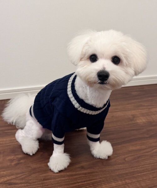 CIAOPANIC TYPY（チャオパニックティピー）の「【ドッグウェア】お揃いが叶う！コットン１００％DOGチルデンニット巾着付き（ペットウェア・レディース・ネイビー/グレー/バーガンディー・MEDIUM/SMALL）」の14枚目の写真