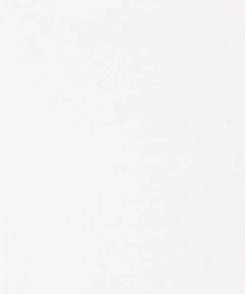 EDITION（エディション）の「コットンシルクフライス クルーネックトップ（Tシャツ/カットソー・レディース・ホワイト/ライトグレー/ライトベージュ・FREE）」の7枚目の写真