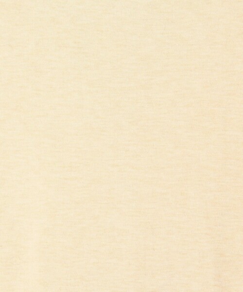 EDITION（エディション）の「コットンシルクフライス クルーネックトップ（Tシャツ/カットソー・レディース・ホワイト/ライトグレー/ライトベージュ・FREE）」の9枚目の写真