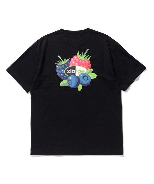 XLARGE（エクストララージ）の「S/S TEE FRUIT SHOP（Tシャツ/カットソー・メンズ・ブラック/ホワイト/ライトパープル・XL/S/L/M）」の16枚目の写真