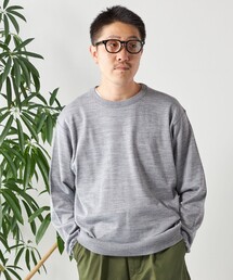 SHIPS any: 〈手洗い可能〉 ハイゲージ テックウール クルーネック ニットソー◇