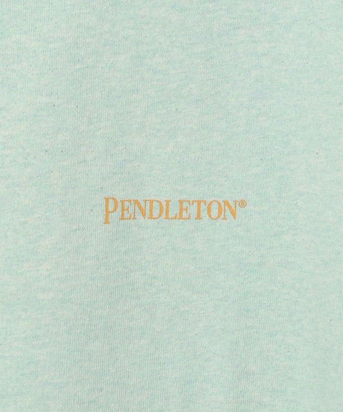 PENDLETON(ペンドルトン)の「【PENDLETON(ペンドルトン)】別注バックプリントT(Tシャツ/カットソー・レディース・オフホワイト/グリーン/ピンク・FREE)」の12枚目の写真