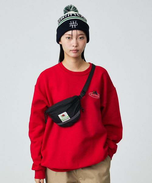 Dickies（ディッキーズ）の「【Dickies / ディッキーズ】JACQUARD WATCH/ニット帽/ボンボンニット/ユニセックス【WEB限定】（ニットキャップ/ビーニー・メンズ・グリーン/ブラウン/ネイビー/ブラック・フリー）」の19枚目の写真