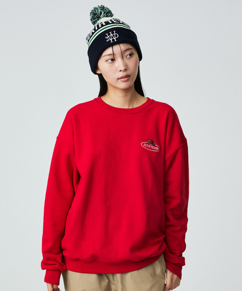 Dickies（ディッキーズ）の「【Dickies / ディッキーズ】JACQUARD WATCH/ニット帽/ボンボンニット/ユニセックス【WEB限定】（ニットキャップ/ビーニー・メンズ・グリーン/ブラウン/ネイビー/ブラック・フリー）」の20枚目の写真