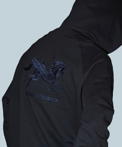 Пегас刺繍フードブラック — черная худи с вышивкой Pegasus