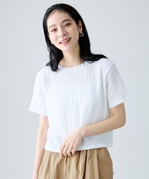 レースショート丈Tシャツ