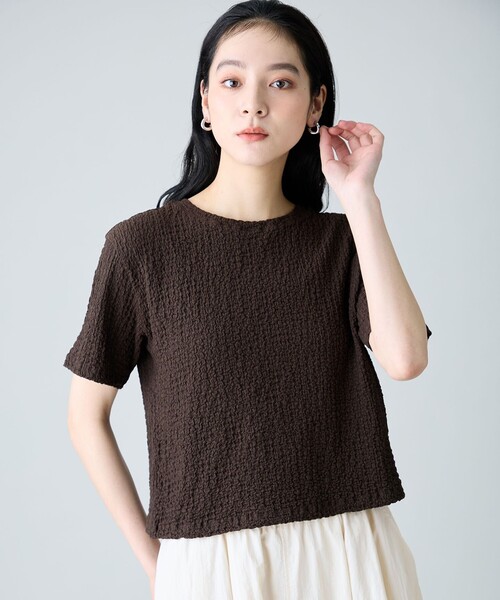 ANY（エニィ）の「レースショート丈Tシャツ（Tシャツ/カットソー・レディース・ホワイト系/ホワイト系2/ブラック系2/ピンク系/グリーン系/ダークブラウン系・F）」の4枚目の写真