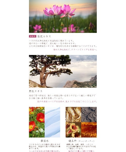 MISSHA（ミシャ）の「【MISSHA/ミシャ】美思　エイヒョン　眞本　クレンジングクリーム（クレンジング・レディース・その他・FREE）」の4枚目の写真