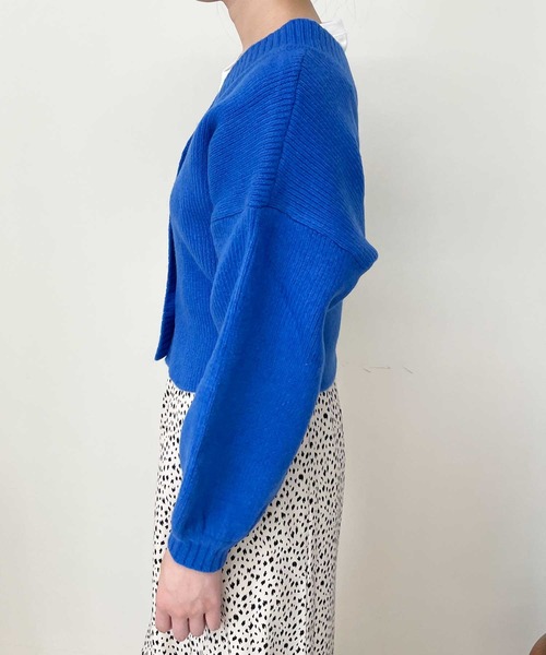 Luxe brille（リュクスブリエ）の「2ｗay　Vネックカーディガン（カーディガン/ボレロ・レディース・イエロー/グレー/ブルー/チャコール/オフホワイト/ピンク・FREE）」の15枚目の写真