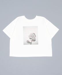 LOWRYS FARM | フォトプリントＴＳＳ　273551(Tシャツ/カットソー)