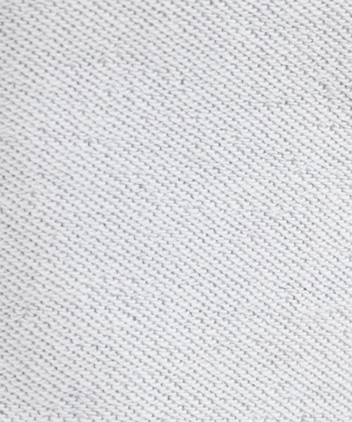 GALLARDAGALANTE(ガリャルダガランテ)の「Brown Univ. ロゴスウェット/GY【オンラインストア限定商品】(スウェット・レディース・グレー・FREE)」の16枚目の写真