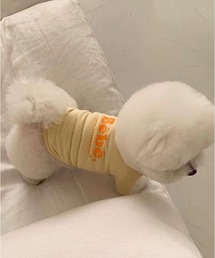 lit.Cy（リットシー）の「カラー ロゴ プリント Tシャツ ドッグウェア（ペットウェア・メンズ）」