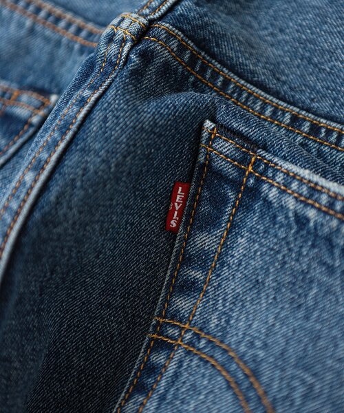 LEVI'S(R)/リーバイス(R) 別注 501(R) Selvedge Paint Splatters L30
